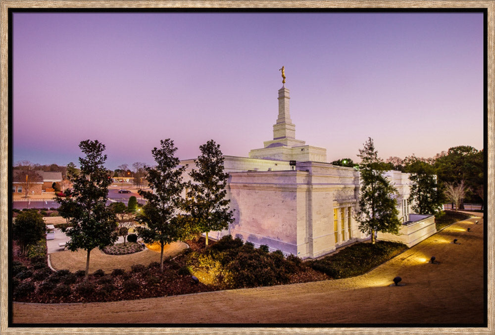 Birmingham Temple - Back Hill View