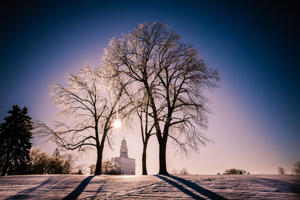 Nauvoo Temple - After an Ice Storm