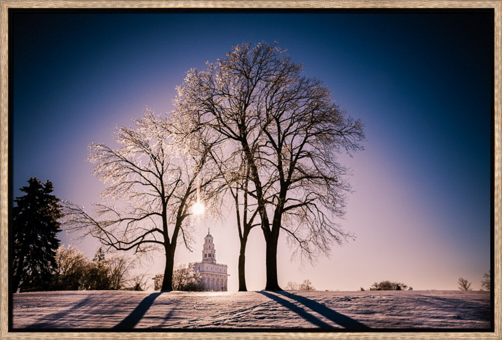 Nauvoo Temple - After an Ice Storm