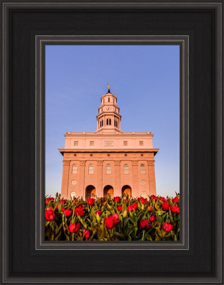 Nauvoo Temple - Tulips