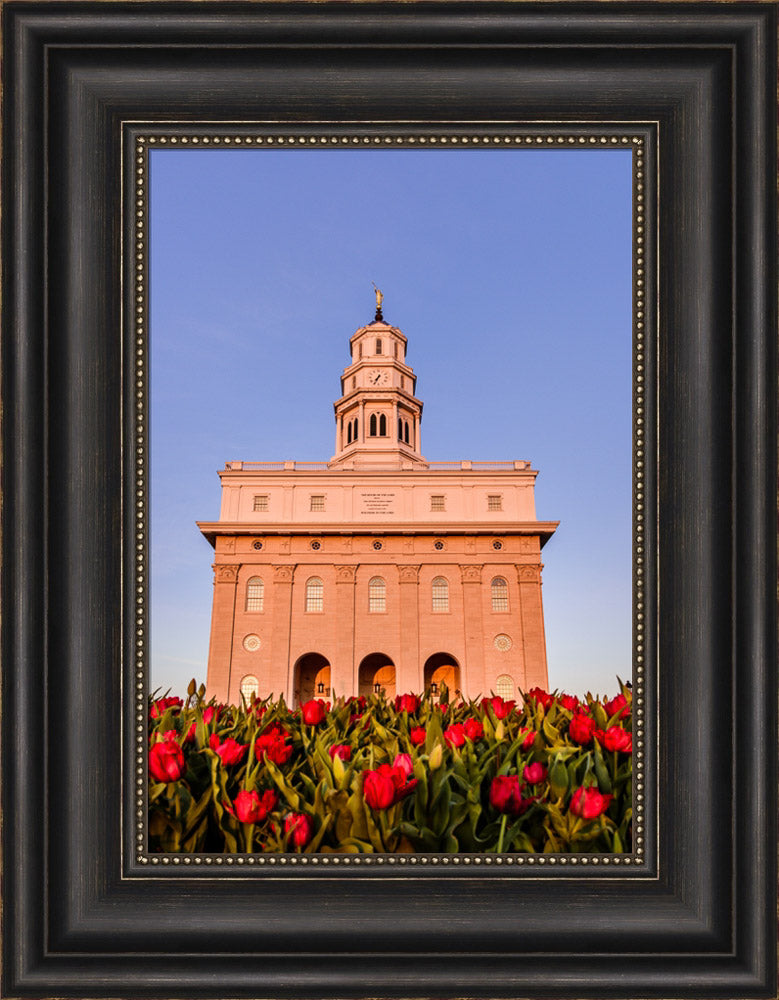 Nauvoo Temple - Tulips