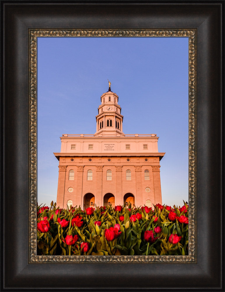 Nauvoo Temple - Tulips