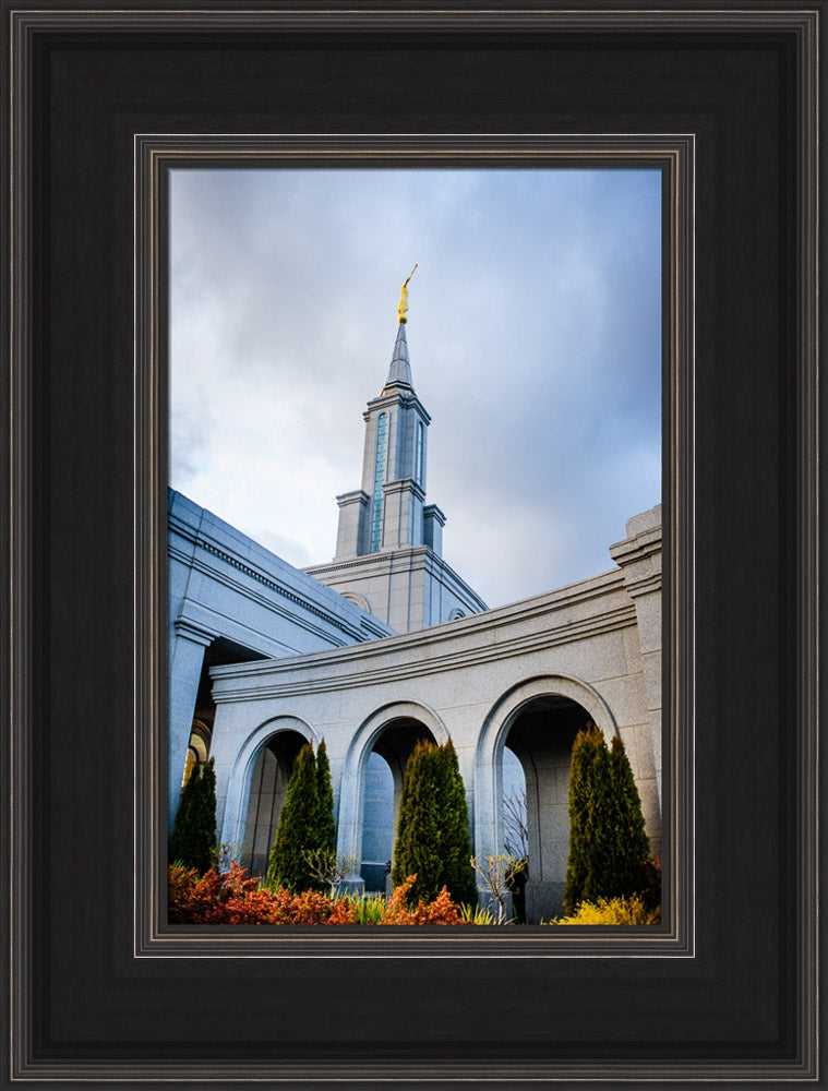 Sacramento Temple - Looking Up by Scott Jarvie