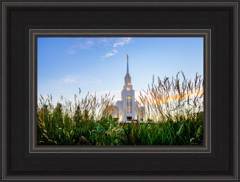 Twin Falls Temple - Harvest