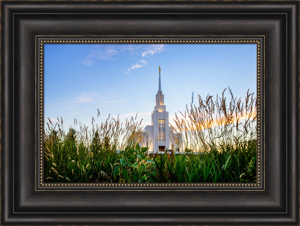 Twin Falls Temple - Harvest