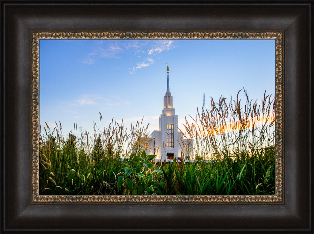 Twin Falls Temple - Harvest