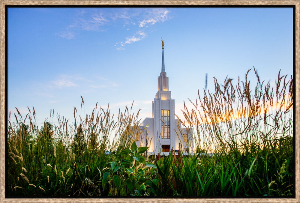 Twin Falls Temple - Harvest