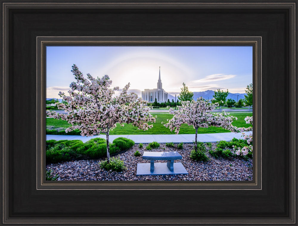 Oquirrh Mountain Temple - Flower Trees and Sun