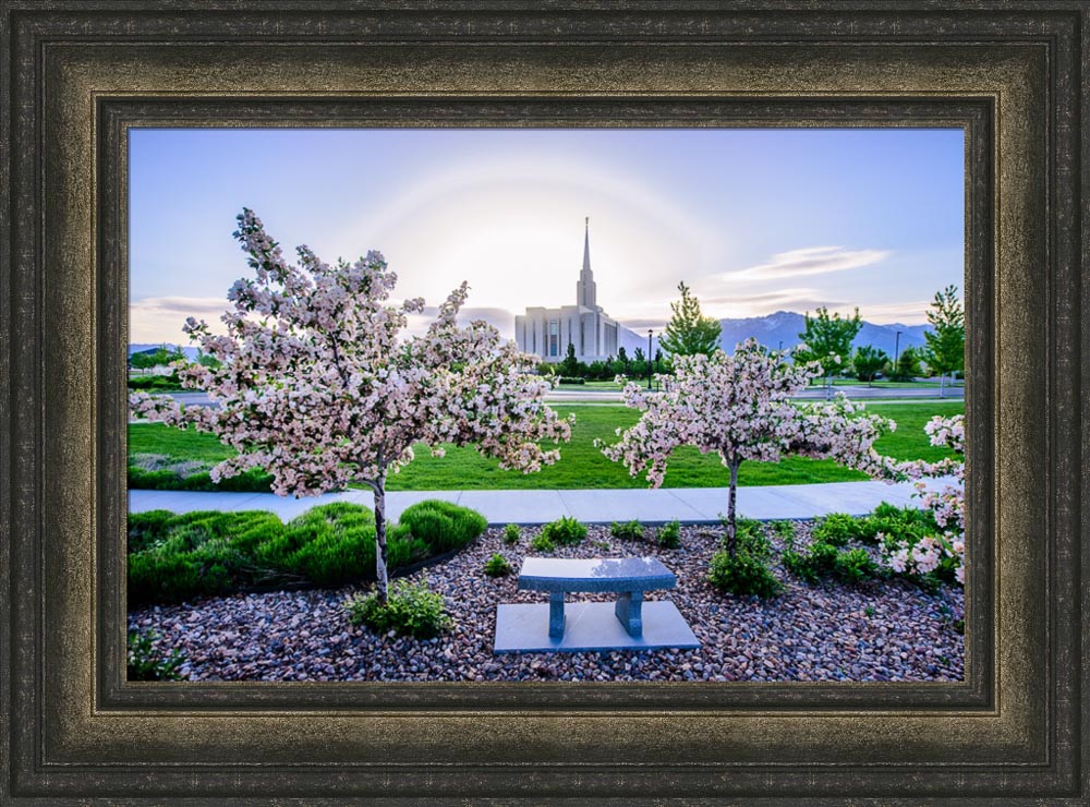 Oquirrh Mountain Temple - Flower Trees and Sun