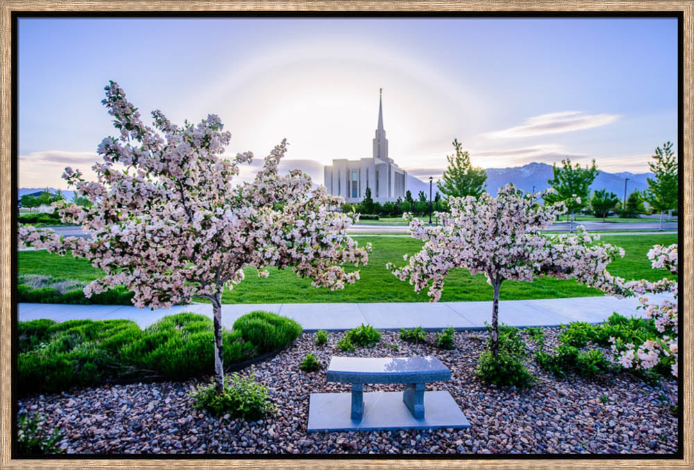 Oquirrh Mountain Temple - Flower Trees and Sun