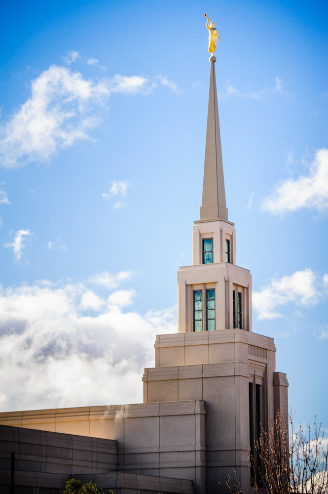 Gila Valley Temple - Spire