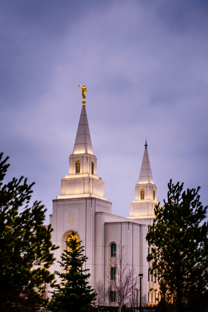 Kansas City Temple - Through the Trees