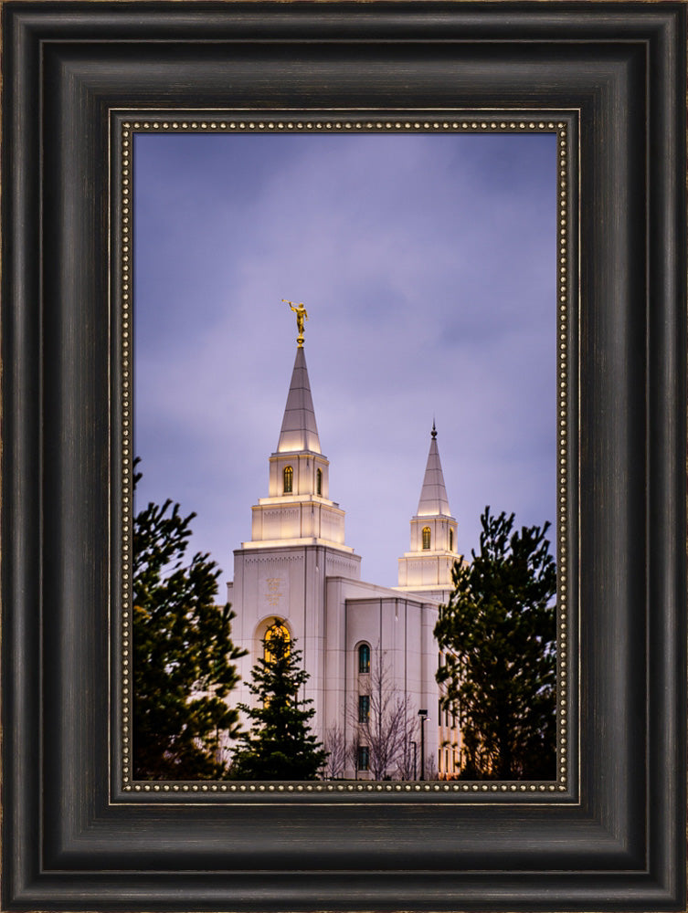 Kansas City Temple - Through the Trees