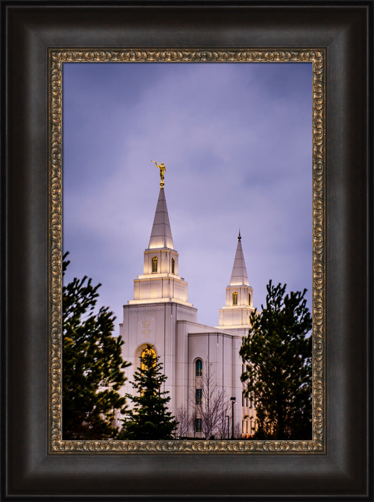 Kansas City Temple - Through the Trees