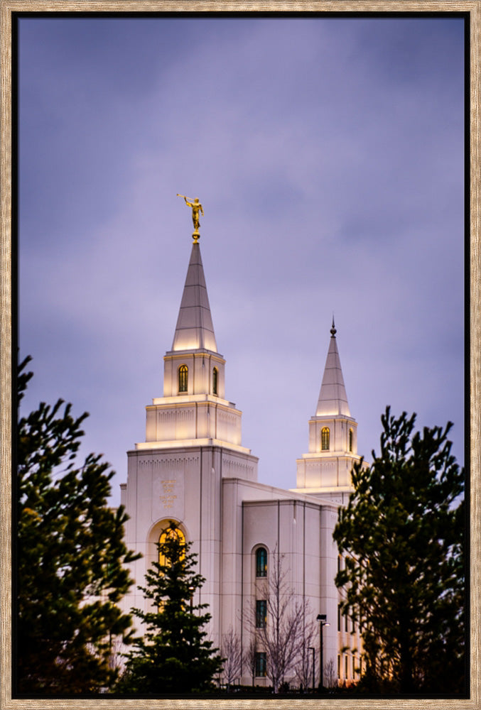 Kansas City Temple - Through the Trees