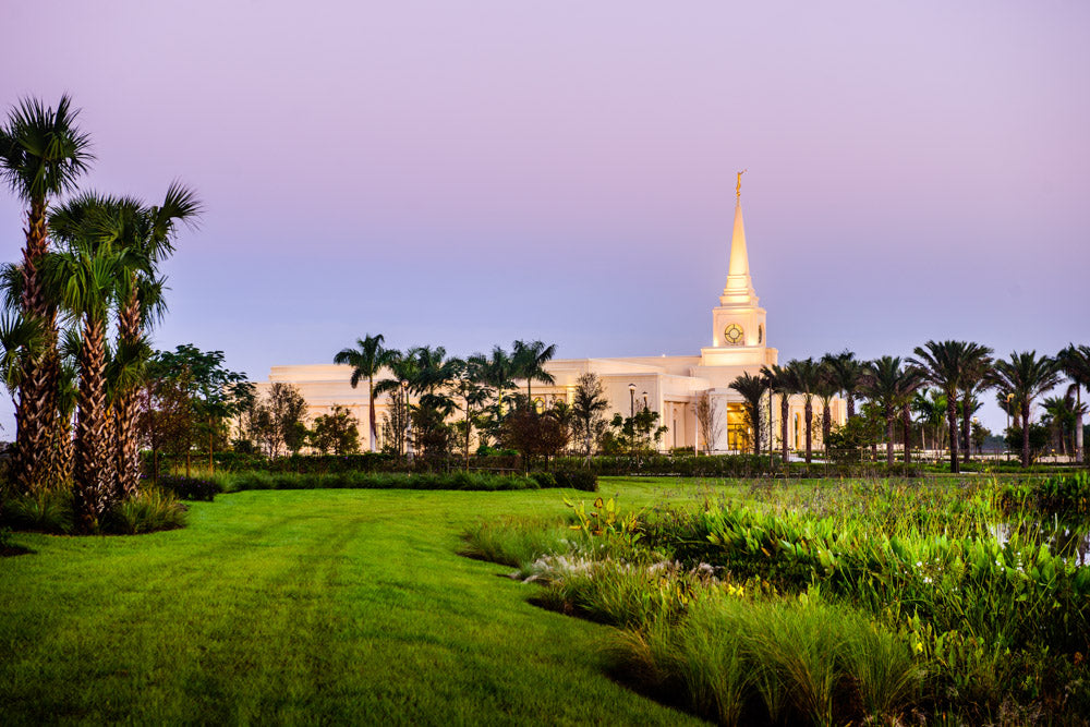 Fort Lauderdale Temple - Palm Trees