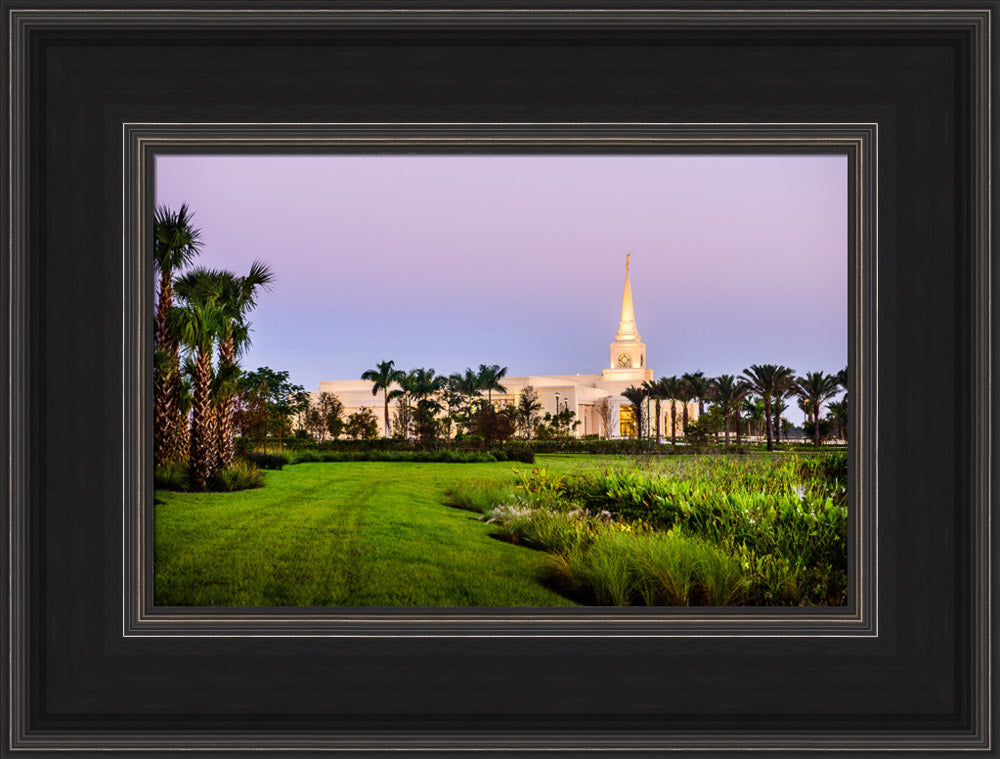 Fort Lauderdale Temple - Palm Trees