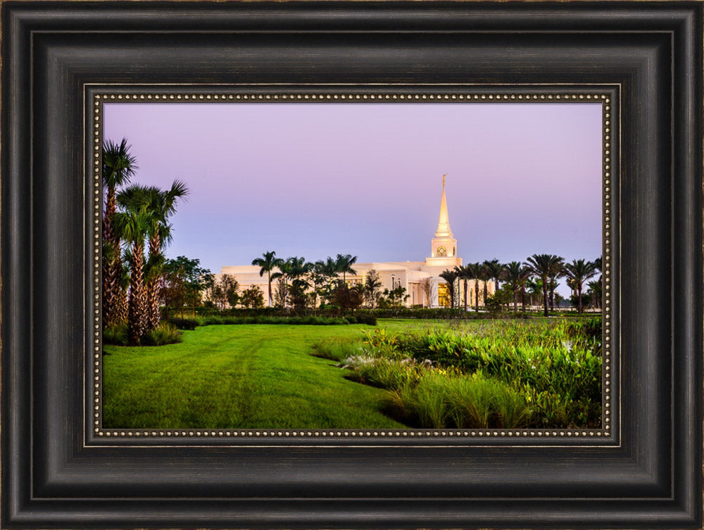 Fort Lauderdale Temple - Palm Trees