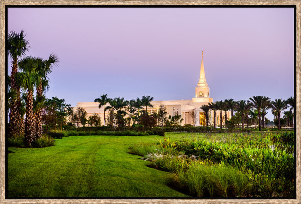 Fort Lauderdale Temple - Palm Trees