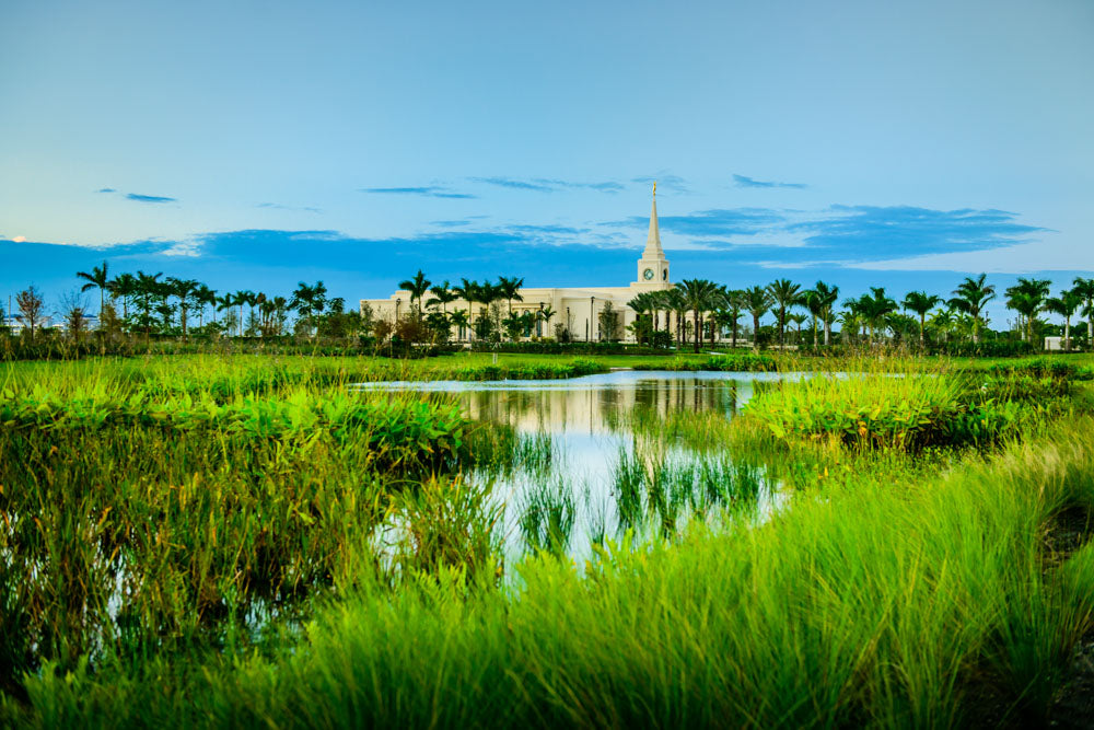 Fort Lauderdale Temple - Green Swamp