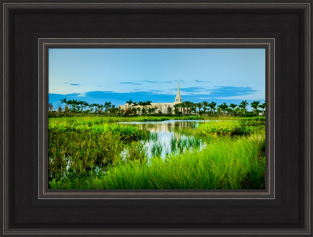 Fort Lauderdale Temple - Green Swamp