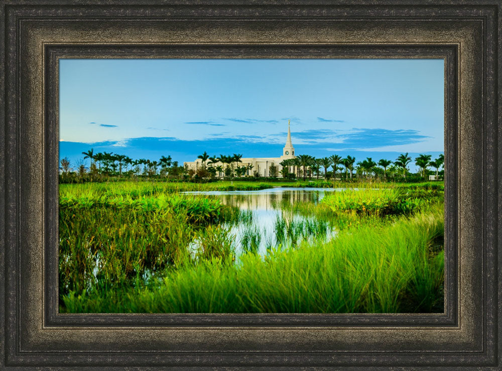 Fort Lauderdale Temple - Green Swamp