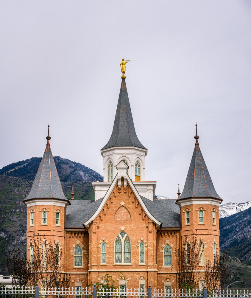 Provo City Center Temple - Spires