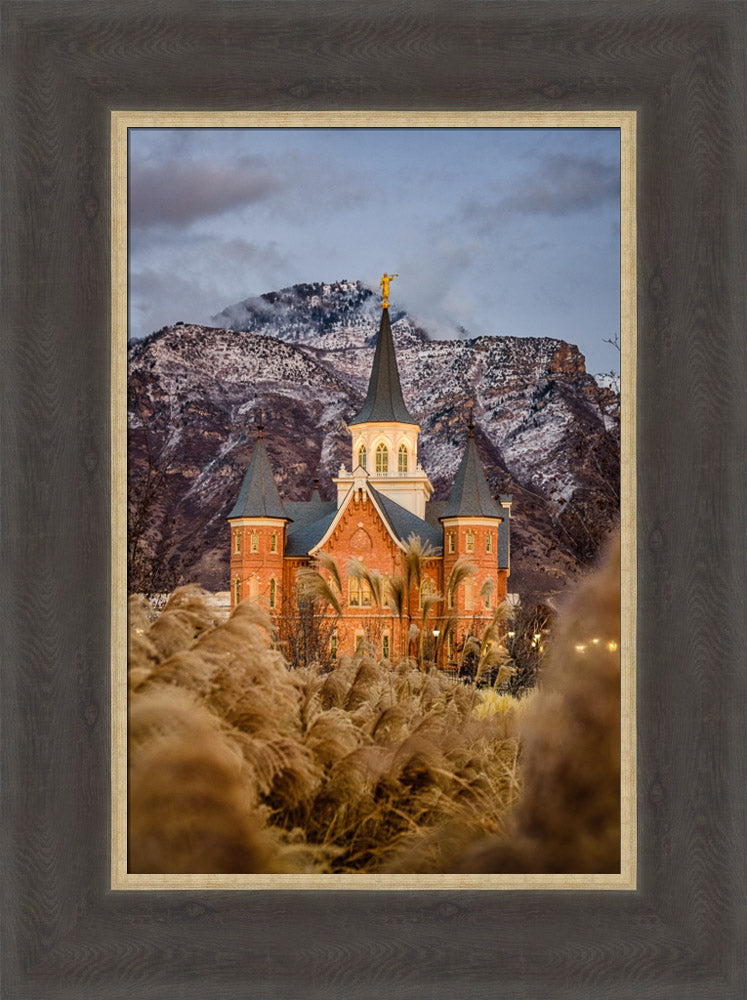 Provo City Center Temple - Fall Reeds