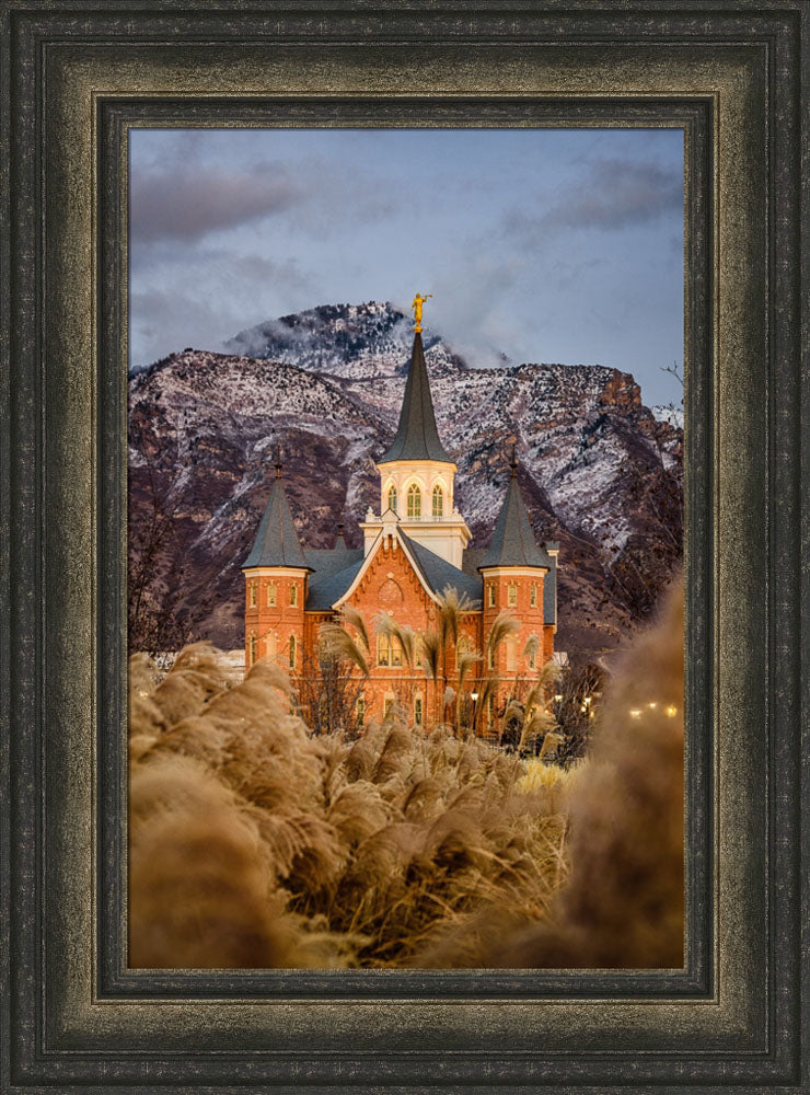 Provo City Center Temple - Fall Reeds