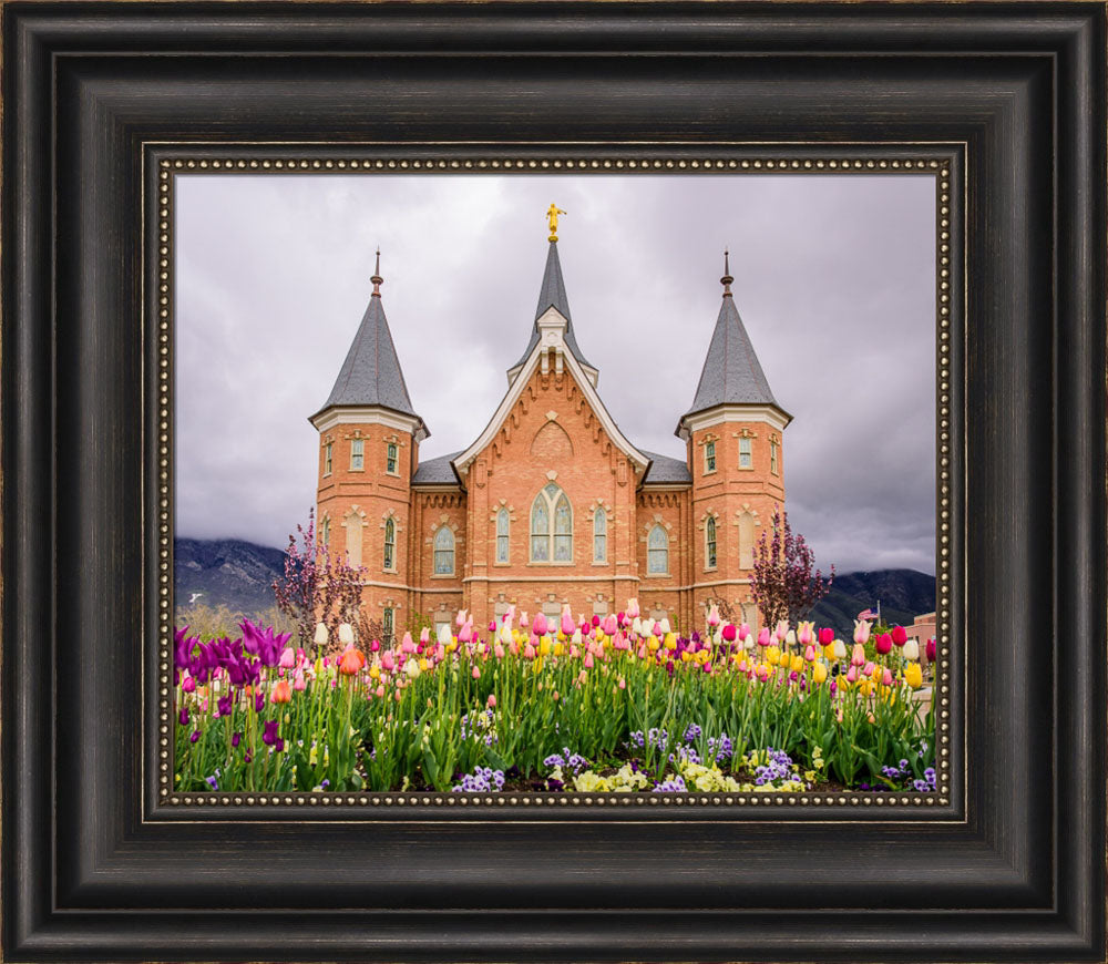 Provo City Center Temple - Springtime Tulips