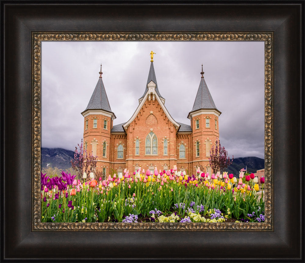Provo City Center Temple - Springtime Tulips
