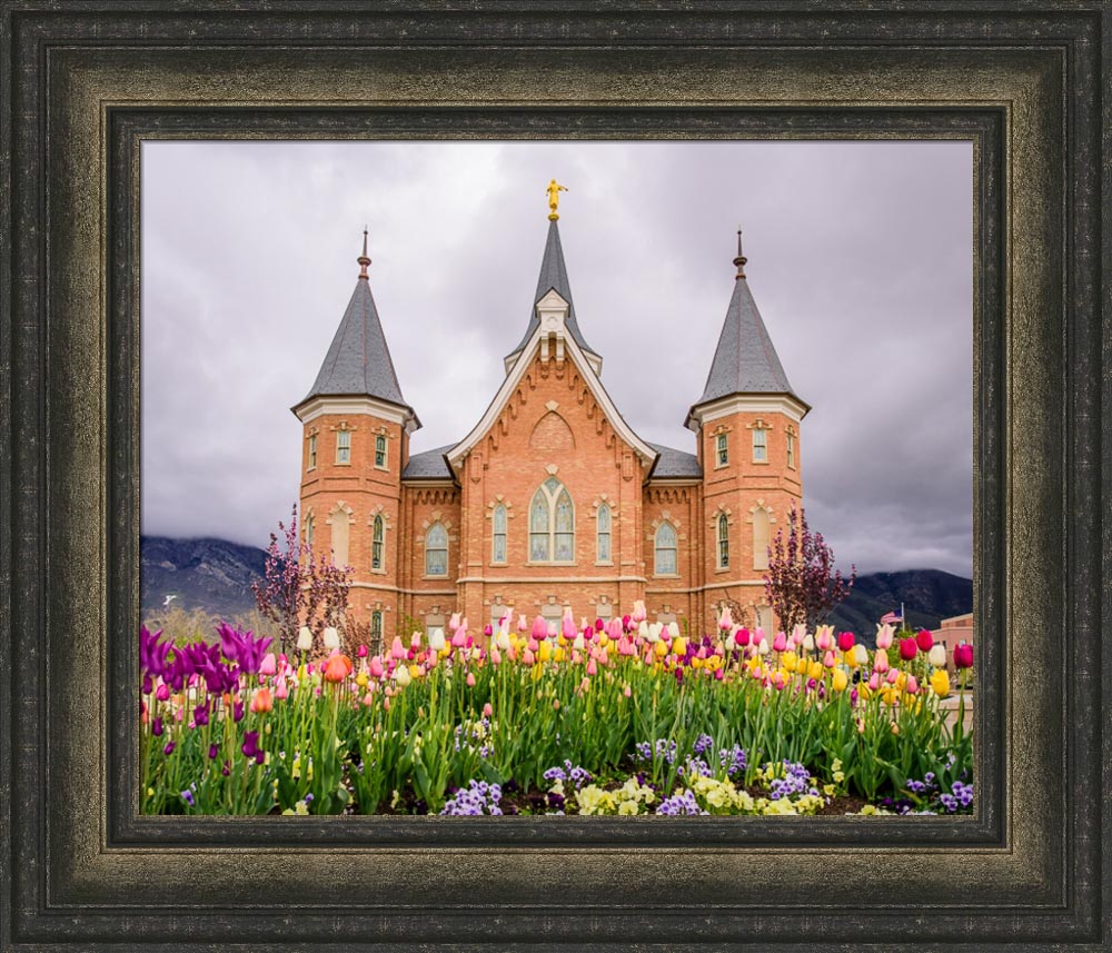 Provo City Center Temple - Springtime Tulips