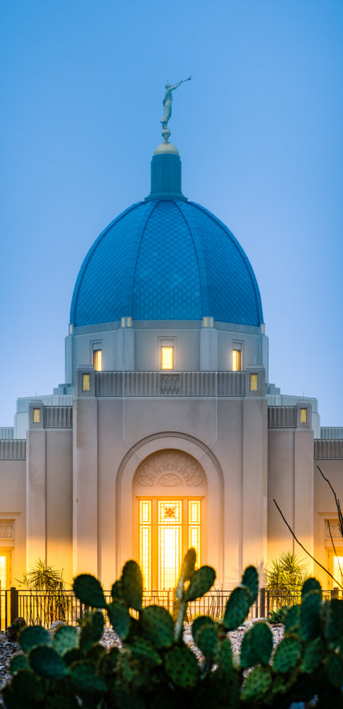 Tucson Temple - Cactus Twilight