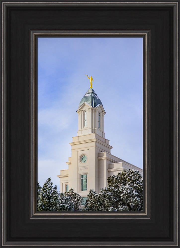 Cedar City Temple - Reaching up