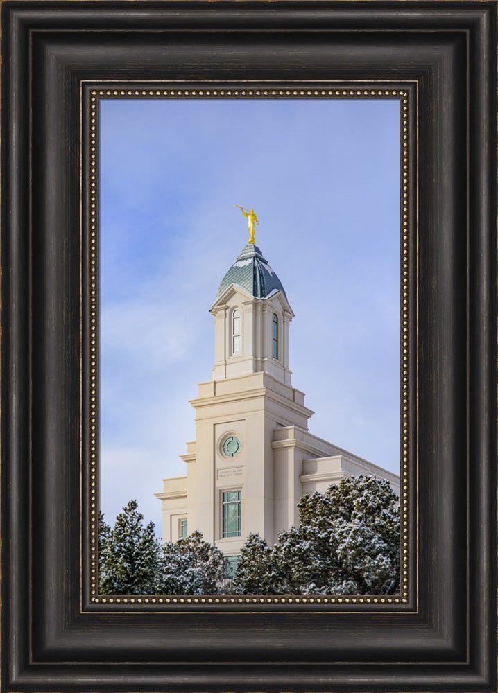 Cedar City Temple - Reaching up