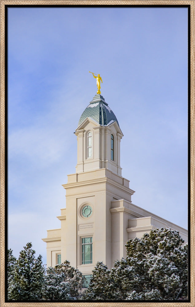 Cedar City Temple - Reaching up