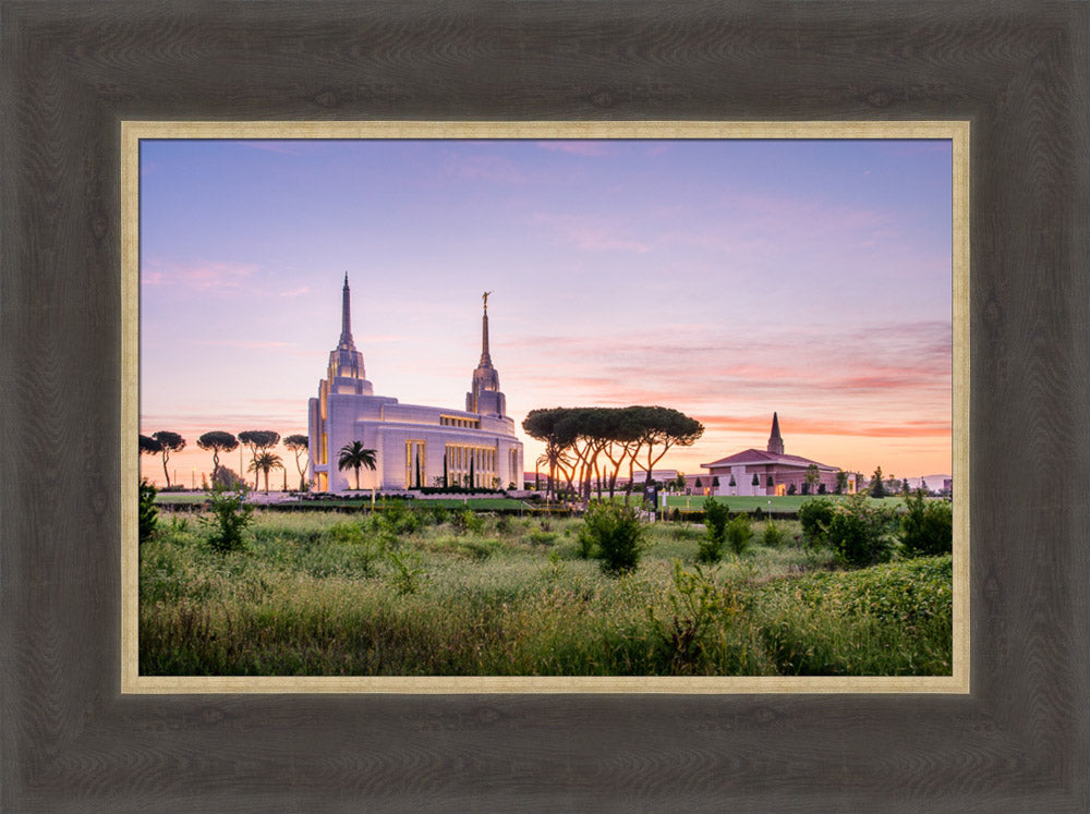 Rome Italy Temple - Field by Scott Jarvie