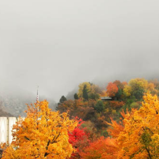 40+ Coziest Autumn LDS Temple Pictures