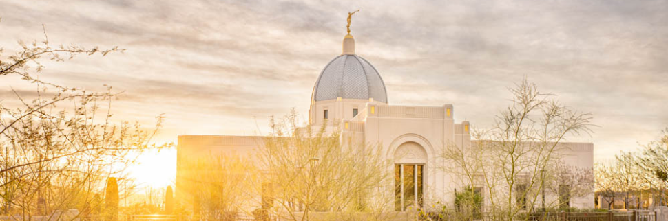 10+ Jawdropping Tucson Temple Pictures: Desert Blossoms