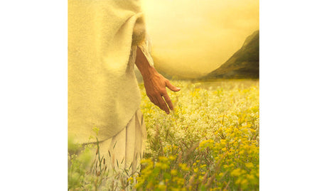 Jesus Christ walking through a field of yellow flowers in a religious art portrayal