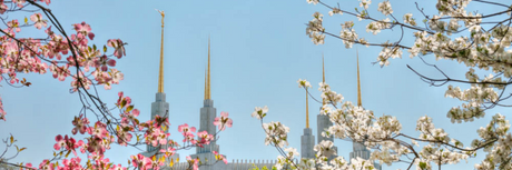 20 Top Washington DC Temple Pictures