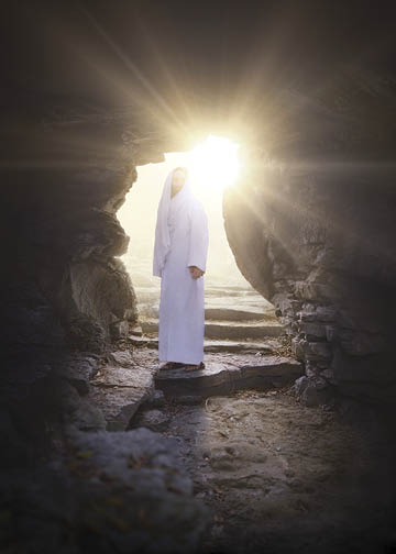 Victorious 5x7 print