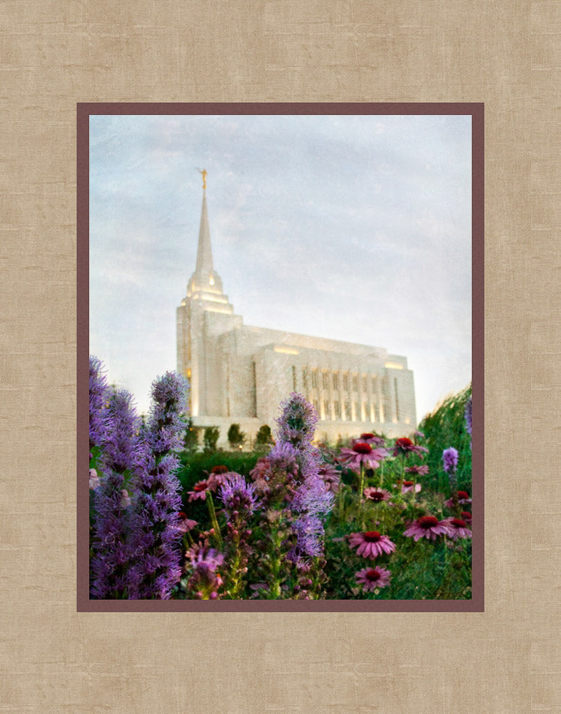 Rexburg Temple: Summer Flowers