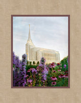 Rexburg Temple: Summer Flowers