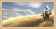 Woman holding a vessel brushes her hand over wheat in a wheat field.