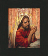 Advocate by Annie Henrie Nader