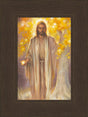 Jesus standing in front of the tree of life, holding the fruit of the tree. Art 15