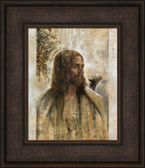 Redeeming Light