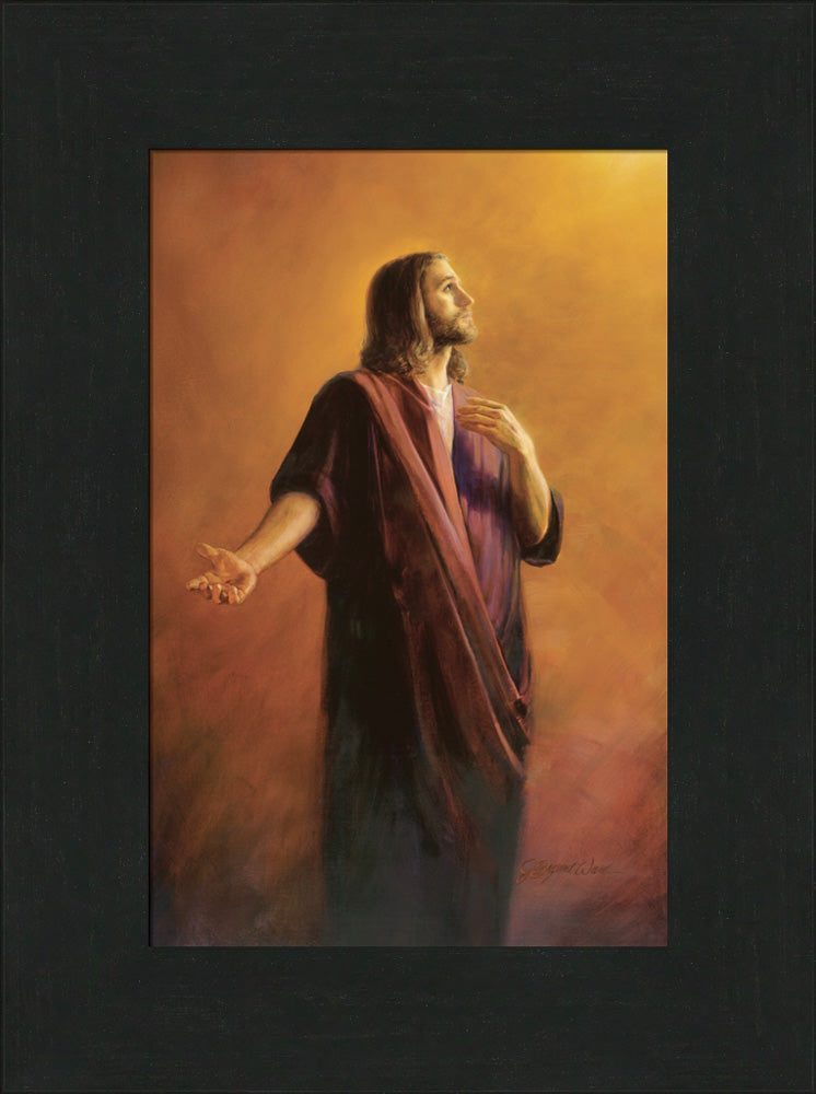 Our Advocate (color)
