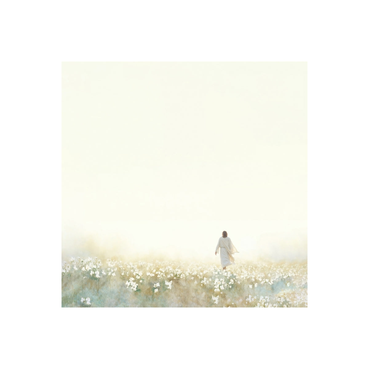 Into the Light
